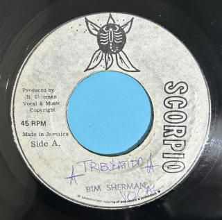 BIM SHERMAN - TRIBULATION