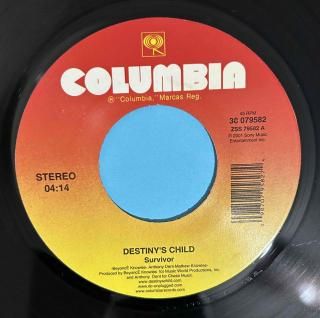 DESTINYS CHILD - SURVIVOR