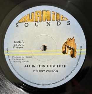 DELROY WILSON - BECAUSE I AM BLACK