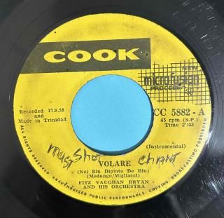 FITZ VAUGHAN - VOLARE