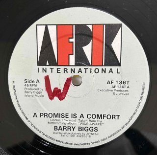 BARRY BIGGS - A PROMISE IS A COMFORT