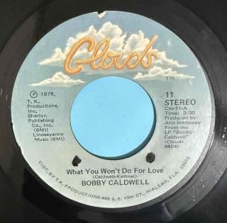 BOBBY CALDWELL - WHAT YOU WONT DO FOR LOVE
