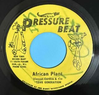 VIN GORDON - AFRICAN PLANT