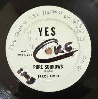 ERROL HOLT - PURE SORROWS