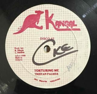TRISTAN PALMER - TORTURING ME