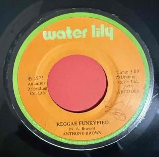 ANTHONY BROWN - REGGAE FUNKYFIED 

