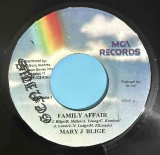 MARY J BLIGE - FAMILY AFFAIR