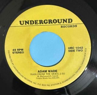 ADAM WADE - RAIN FROM THE SKIES