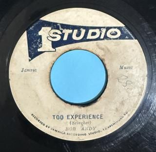 BOB ANDY - TOO EXPERIENCE