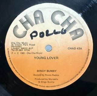 BINGY BUNNY - YOUNG LOVER
