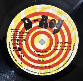SONIA - I NEVER KNEW