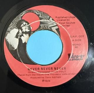 JOHN HOLT - NEVER NEVER NEVER