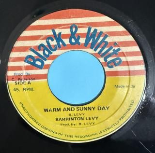 BARRINGTON LEVY - WARM AND SUNNY DAY