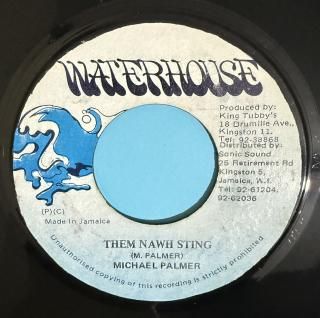 MICHAEL PALMER - THEM NAWH STING