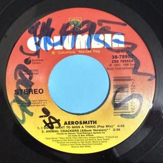 AEROSMITH - I DONT WANT TO MISS A THING