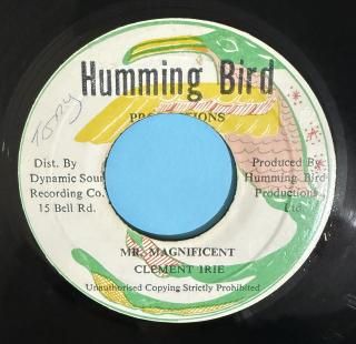 CLEMENT IRIE - MR MAGNIFICENT