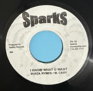 Busta Rymes, M. Cary - I Know What U Want