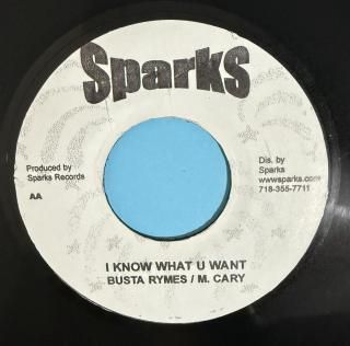 Busta Rymes, M. Cary - I Know What U Want