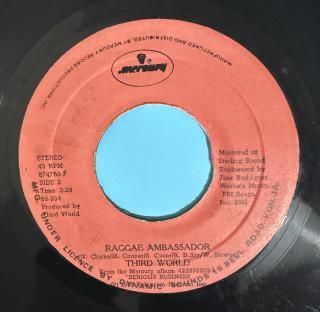 THIRD WORLD - REGGAE AMBASSADOR