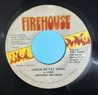 ANTHONY RED ROSE - UNDER ME FAT THING