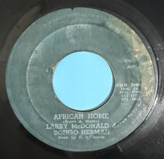 LARRY MCDONALD & BONGO HERMAN - AFRICAN HOME