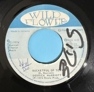 DERRICK HARRIOTT - BUCKETFUL OF TEARS