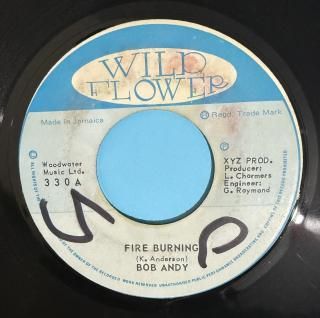 BOB ANDY - FIRE BURNING