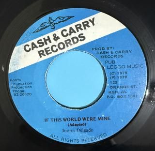 JUNIOR DELGADO - IF THIS WORLD WERE MINE