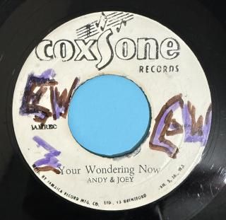 ANDY & JOEY - YOU'RE WONDERING NOW