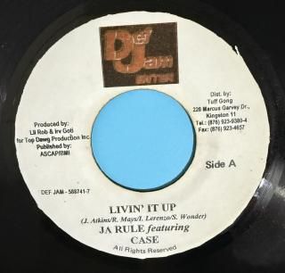 Ja Rule feat. Case - Livin' It Up
