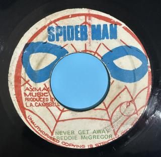 FREDDIE MCGREGOR - NEVER GET AWAY