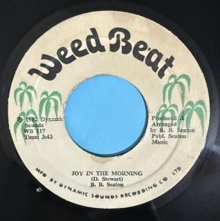 BB SEATON - JOY IN THE MORNING