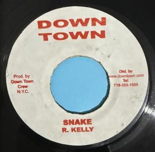 R. Kelly - Snake