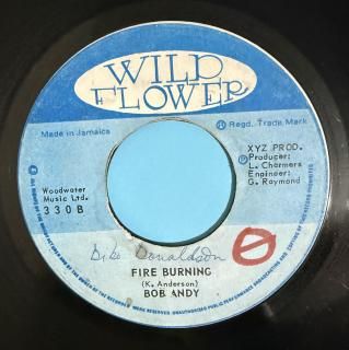 BOB ANDY - FIRE BURNING