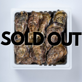 դ SOLD OUT