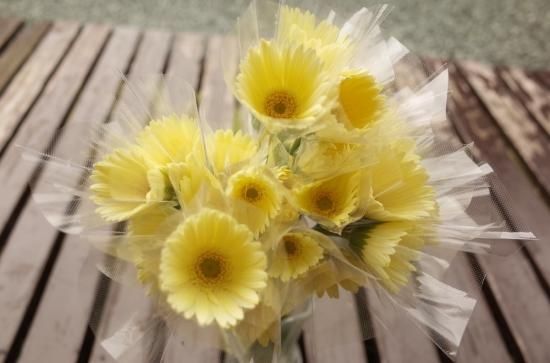 ガーベラ　2本セット c284d0a202bce2d4429be7f0d6a3bd