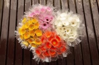 ギフト・プレゼントに花を！ ガーベラ通販 4187unno（よい花・海野）