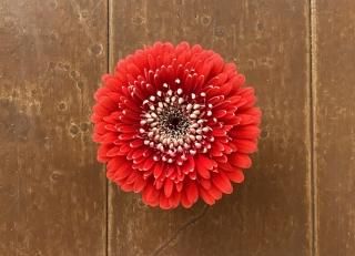 がーべら@プロフ必読 ✿Dom❤Mia✿プロフ必読✿様 リクエスト おまとめ5点 - メルカリ