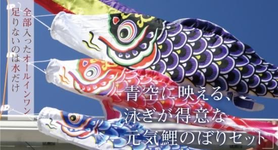 青空に映える、泳ぎが得意な元気鯉のぼりセット - 飯田人形オンライン