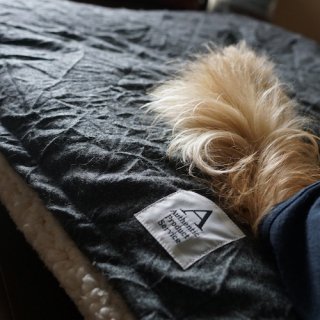 <img class='new_mark_img1' src='https://img.shop-pro.jp/img/new/icons47.gif' style='border:none;display:inline;margin:0px;padding:0px;width:auto;' />HAPPY DOG BED COVER