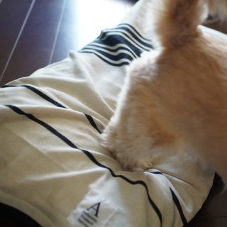 <img class='new_mark_img1' src='https://img.shop-pro.jp/img/new/icons47.gif' style='border:none;display:inline;margin:0px;padding:0px;width:auto;' />DOG BED CUSHION MIXED LINE