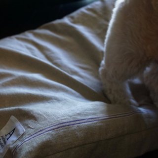 <img class='new_mark_img1' src='https://img.shop-pro.jp/img/new/icons47.gif' style='border:none;display:inline;margin:0px;padding:0px;width:auto;' />DOG BED CUSHION linen purple