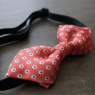 <img class='new_mark_img1' src='https://img.shop-pro.jp/img/new/icons14.gif' style='border:none;display:inline;margin:0px;padding:0px;width:auto;' />PAPILLON 2 (bow tie)