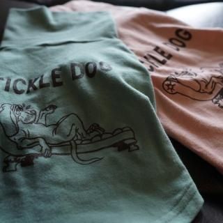 <img class='new_mark_img1' src='https://img.shop-pro.jp/img/new/icons16.gif' style='border:none;display:inline;margin:0px;padding:0px;width:auto;' />FICKLE DOG TURTLE dull