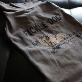 FICKLE DOG TURTLE dull2