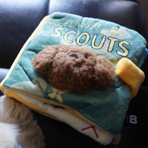 SCOUTS BOOK NOSEWORK TOY – Miso and Friends