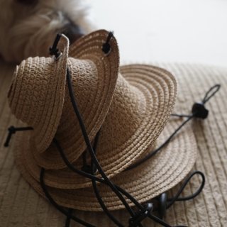 <img class='new_mark_img1' src='https://img.shop-pro.jp/img/new/icons14.gif' style='border:none;display:inline;margin:0px;padding:0px;width:auto;' />STRAW HAT brown