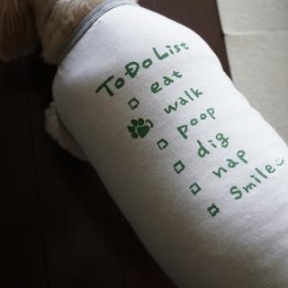 <img class='new_mark_img1' src='https://img.shop-pro.jp/img/new/icons14.gif' style='border:none;display:inline;margin:0px;padding:0px;width:auto;' />new TO DO SURF SHIRT