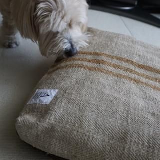 <img class='new_mark_img1' src='https://img.shop-pro.jp/img/new/icons14.gif' style='border:none;display:inline;margin:0px;padding:0px;width:auto;' />DOG BED CUSHION caramel line