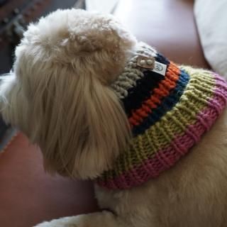 <img class='new_mark_img1' src='https://img.shop-pro.jp/img/new/icons14.gif' style='border:none;display:inline;margin:0px;padding:0px;width:auto;' />DOG SNOOD haramaki 5